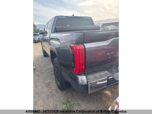 Toyota Tundra Crewmax Sr/crewmax Sr5 2023 5TFLA5DB2PX113453 Image 3
