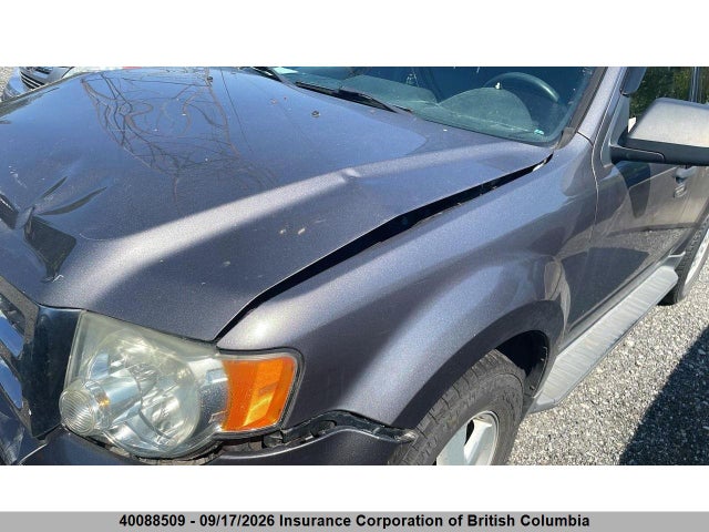 Продаж на аукціоні авто 2010 Ford Escape Xlt, vin: 1FMCU0D74AKD22652, номер лоту: 40088509