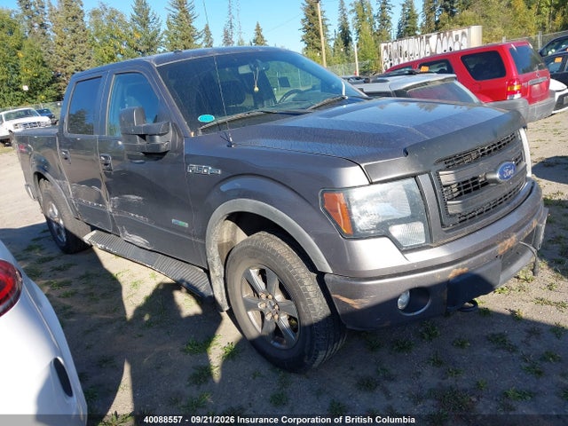 Ford F150 2014 1FTFW1ET3EFA34343 Image 1