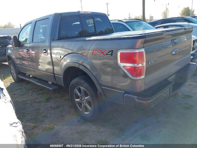 Ford F150 2014 1FTFW1ET3EFA34343 Image 3