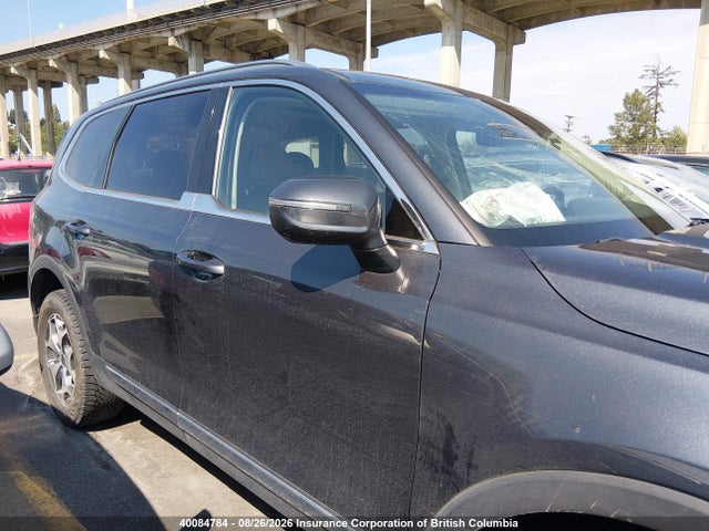 KIA Telluride Ex 2020 5XYP3DHC4LG087007 Image 13