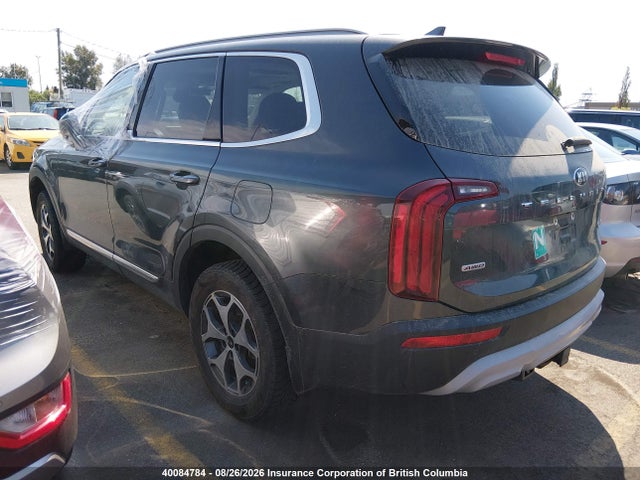 KIA Telluride Ex 2020 5XYP3DHC4LG087007 Image 3