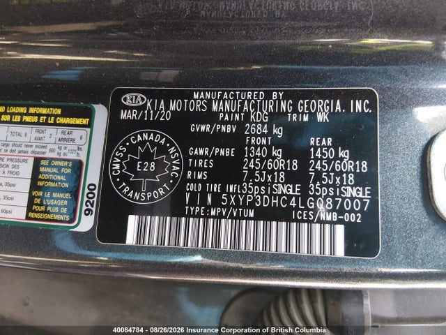 KIA Telluride Ex 2020 5XYP3DHC4LG087007 Image 9