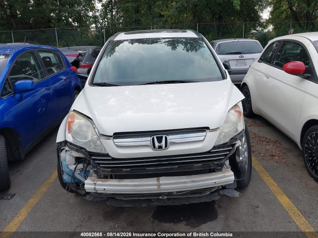 Продаж на аукціоні авто 2009 Honda Cr-v Ex, vin: 5J6RE38569L800561, номер лоту: 40082565