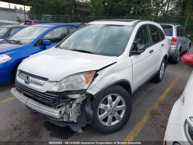 Продаж на аукціоні авто 2009 Honda Cr-v Ex, vin: 5J6RE38569L800561, номер лоту: 40082565