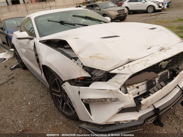 Ford Mustang 2020 1FA6P8TH3L5140076 Image 12