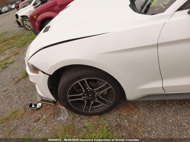 Ford Mustang 2020 1FA6P8TH3L5140076 Image 2