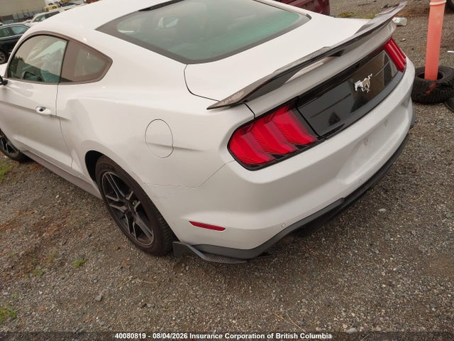 Ford Mustang 2020 1FA6P8TH3L5140076 Image 3