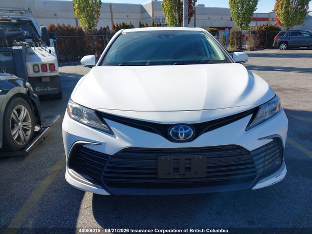 Продаж на аукціоні авто 2021 Toyota Camry, vin: 4T1C31AKXMU028697, номер лоту: 40089015