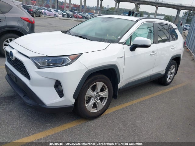 2T3RWRFV5KW018974 Toyota RAV4