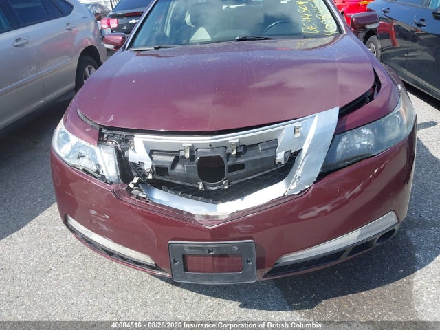 40084516 :رقم المزاد ، 19UUA86209A800781 vin ، 2009 Acura Tl مزاد بيع