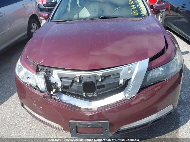 40084516 :رقم المزاد ، 19UUA86209A800781 vin ، 2009 Acura Tl مزاد بيع