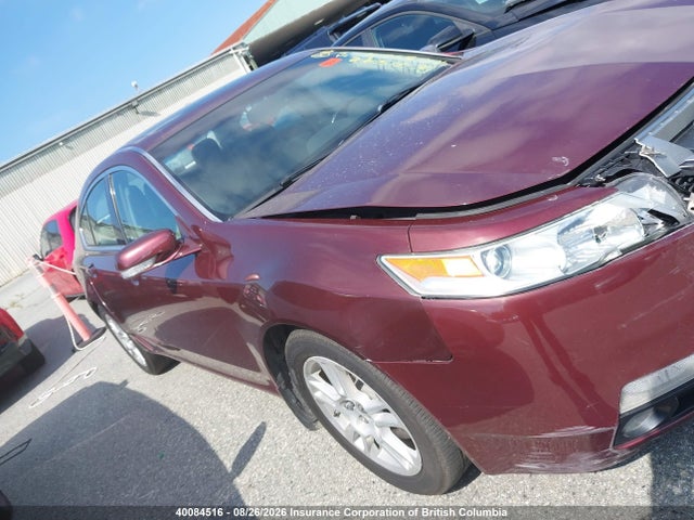 40084516 :رقم المزاد ، 19UUA86209A800781 vin ، 2009 Acura Tl مزاد بيع