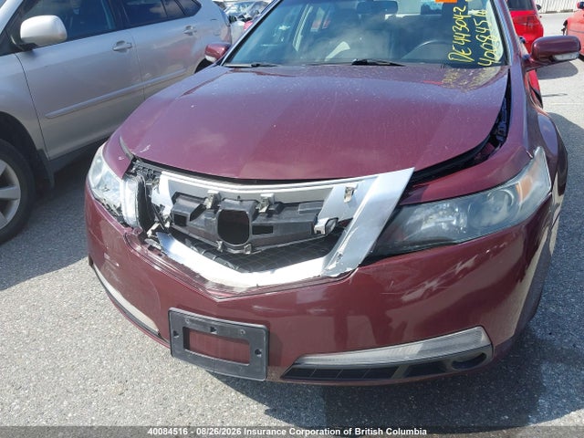 40084516 :رقم المزاد ، 19UUA86209A800781 vin ، 2009 Acura Tl مزاد بيع