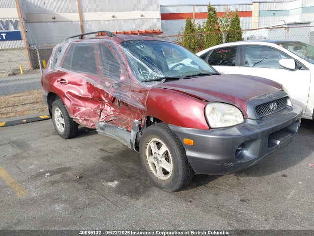 Auction sale of the 2004 Hyundai Santa Fe, vin: KM8SB13D04U607808, lot number: 40089132