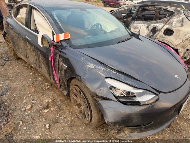40089220 :رقم المزاد ، 5YJ3E1EA8LF798436 vin ، 2020 Tesla Model 3 مزاد بيع
