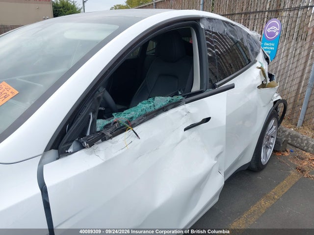 Tesla Model Y 2023 LRWYGDFD6PC902853 Image 6