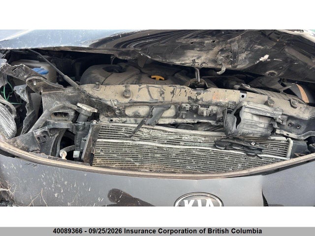 Aukcja sprzedaży 2017 Kia Rondo, vin: KNAHT8A34H7179354, numer aukcji: 40089366