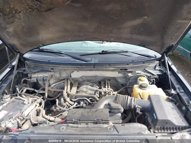 Ford F150 2014 1FTFW1EF1EFD00131 Image 10