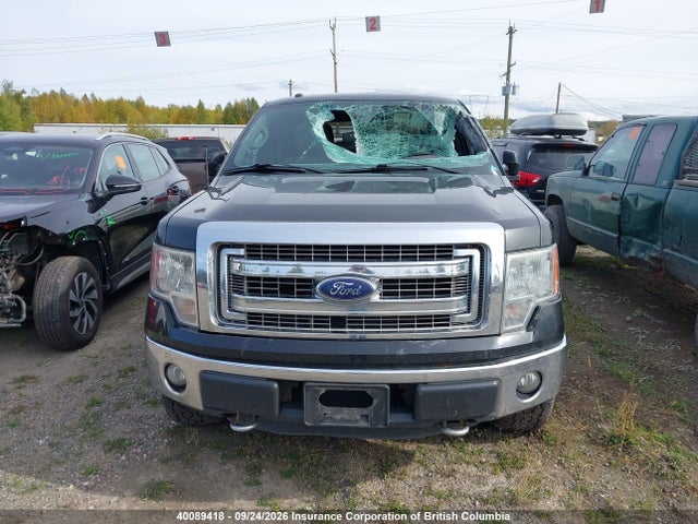 Ford F150 2014 1FTFW1EF1EFD00131 Image 13