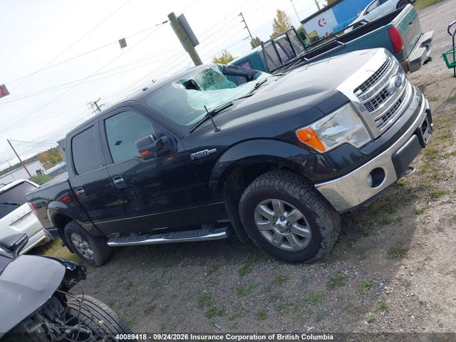 Ford F150 2014 1FTFW1EF1EFD00131 Image 14