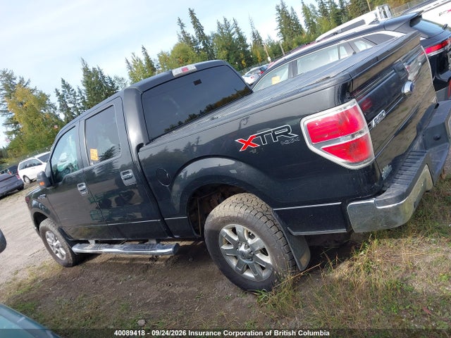 Ford F150 2014 1FTFW1EF1EFD00131 Image 15