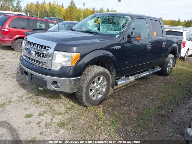Ford F150 2014 1FTFW1EF1EFD00131 Image 2