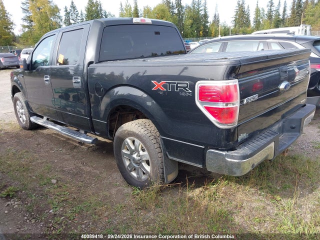 Ford F150 2014 1FTFW1EF1EFD00131 Image 3