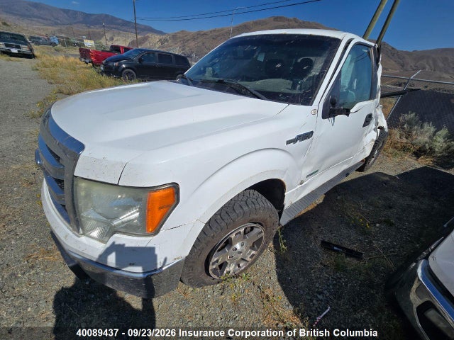 2013 Ford F150 მანქანა იყიდება აუქციონზე, vin: 1FTFW1ET8DFD20848, აუქციონის ნომერი: 40089437