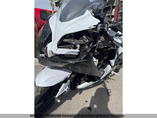 Kawasaki Ex300 B 2014 JKAEX8B13EA007722 Image 5