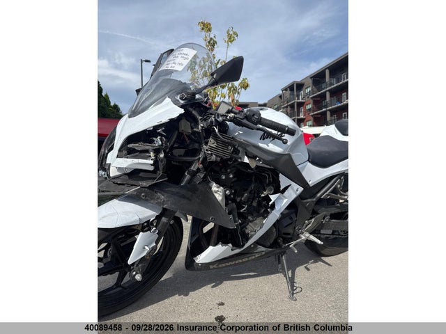 Kawasaki Ex300 B 2014 JKAEX8B13EA007722 Image 9