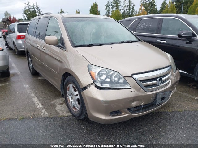 Auction sale of the 2007 Honda Odyssey Exl, vin: 5FNRL38667B508297, lot number: 40089460