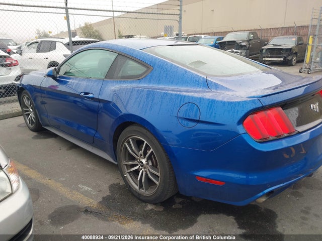Ford Mustang 2017 1FA6P8TH9H5216102 Image 3