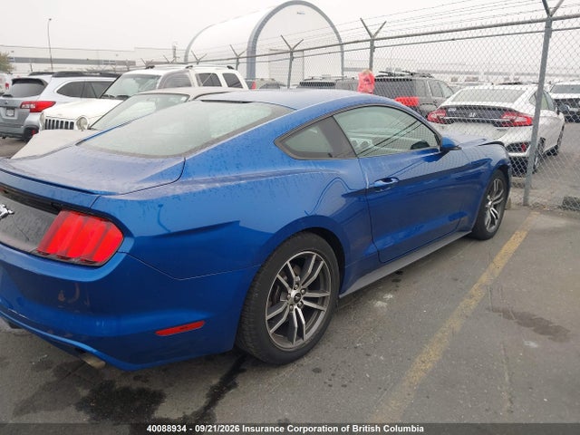 Ford Mustang 2017 1FA6P8TH9H5216102 Image 4