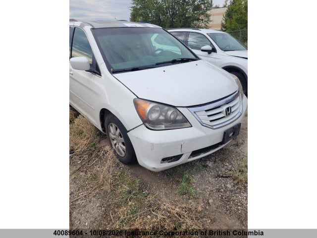 Продаж на аукціоні авто 2009 Honda Odyssey Exl, vin: 5FNRL38759B006568, номер лоту: 40089604