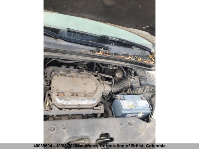 2009 Honda Odyssey Exl მანქანა იყიდება აუქციონზე, vin: 5FNRL38759B006568, აუქციონის ნომერი: 40089604