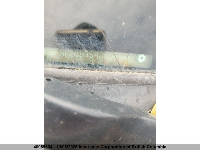 2009 Honda Odyssey Exl მანქანა იყიდება აუქციონზე, vin: 5FNRL38759B006568, აუქციონის ნომერი: 40089604