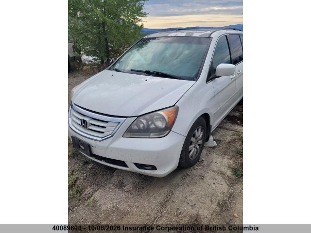 2009 Honda Odyssey Exl მანქანა იყიდება აუქციონზე, vin: 5FNRL38759B006568, აუქციონის ნომერი: 40089604
