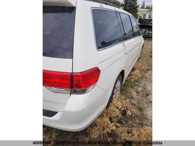 2009 Honda Odyssey Exl მანქანა იყიდება აუქციონზე, vin: 5FNRL38759B006568, აუქციონის ნომერი: 40089604