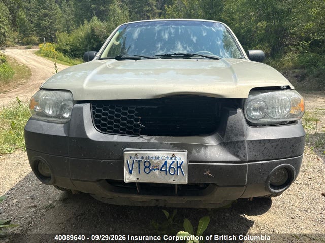 Продаж на аукціоні авто 2005 Ford Escape Xlt, vin: 1FMYU93185KC48052, номер лоту: 40089640