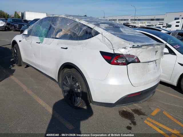 Tesla Model Y 2023 7SAYGDEE3PF759055 Image 3