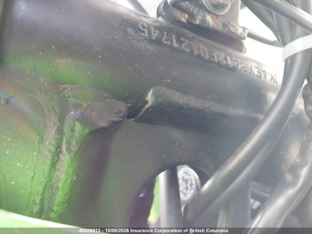 Kawasaki Ex300 A 2015 JKAEX8A12FDA21745 Image 10