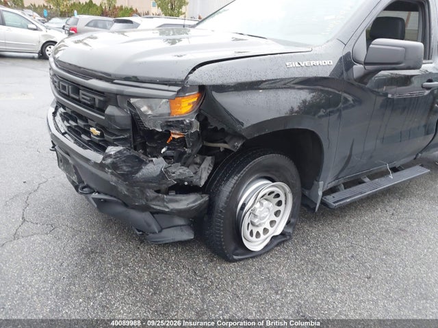 Chevrolet Silverado K1500 2025 3GCNKAED6SG231632 Image 6