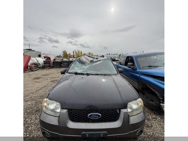 40089992 :رقم المزاد ، 1FMYU93166KB06056 vin ، 2006 Ford Escape Xlt مزاد بيع