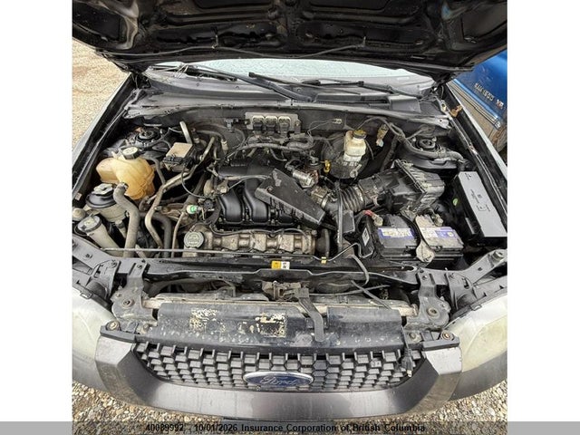 40089992 :رقم المزاد ، 1FMYU93166KB06056 vin ، 2006 Ford Escape Xlt مزاد بيع