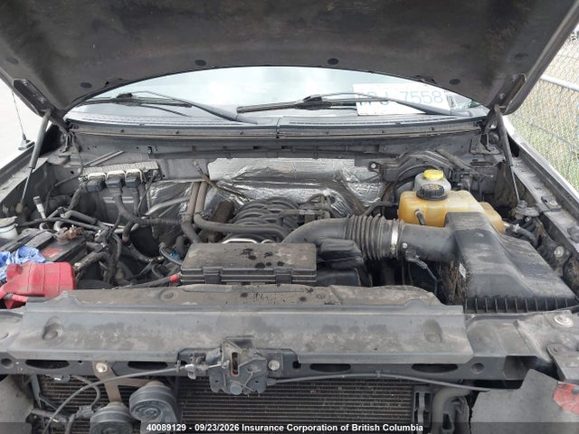 Продаж на аукціоні авто 2014 Ford F150 Supercrew, vin: 1FTFW1EF3EKE28619, номер лоту: 40089129