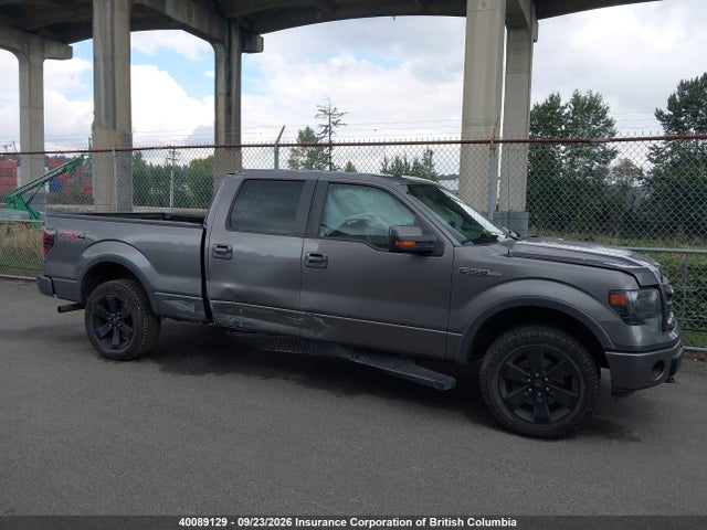 Продаж на аукціоні авто 2014 Ford F150 Supercrew, vin: 1FTFW1EF3EKE28619, номер лоту: 40089129