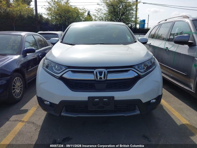 40087234 :رقم المزاد ، 2HKRW2H83KH152291 vin ، 2019 Honda Cr-v Exl مزاد بيع