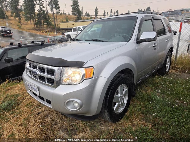 Продаж на аукціоні авто 2009 Ford Escape Xlt, vin: 1FMCU93G29KB38795, номер лоту: 40090452