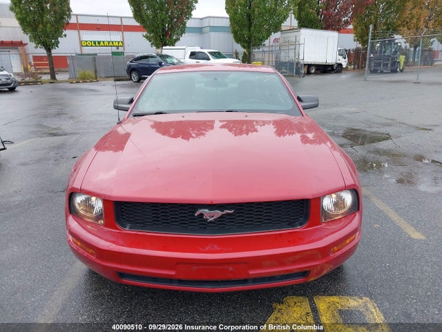 Продаж на аукціоні авто 2008 Ford Mustang, vin: 1ZVHT80N785155161, номер лоту: 40090510